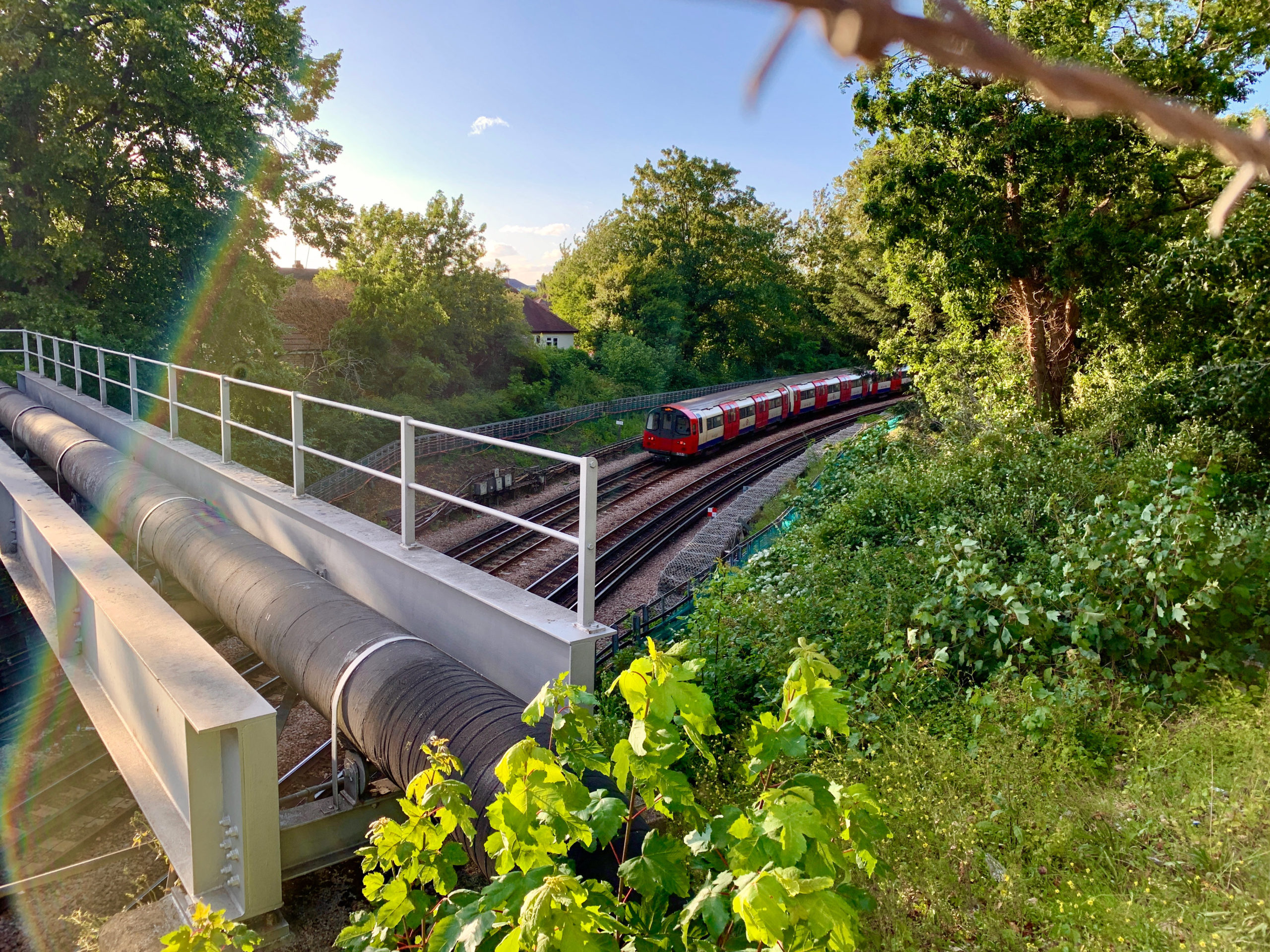 London Underground train on a curve, with pipes leading over the tracks. The track is surrounded by trees and greenery. The sunlight is creating a lens flare.